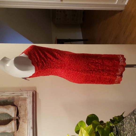 Express Dress - Picture 11 of 12